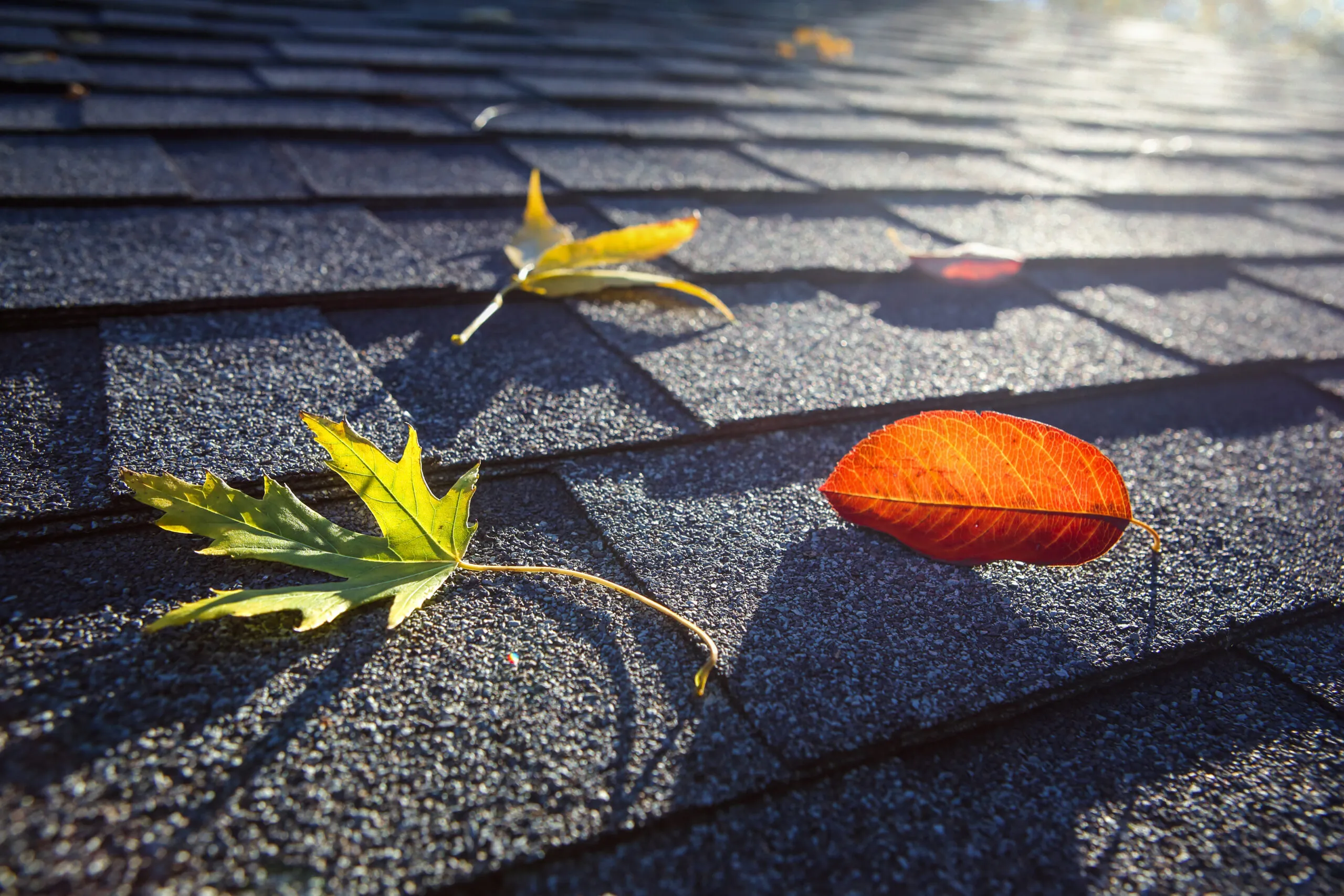 Flat Roof Drainage Problems Every Property Manager Should Know Before Fall Weather Strikes
