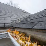 What Really Happens When You Let Your Gutters Get Clogged