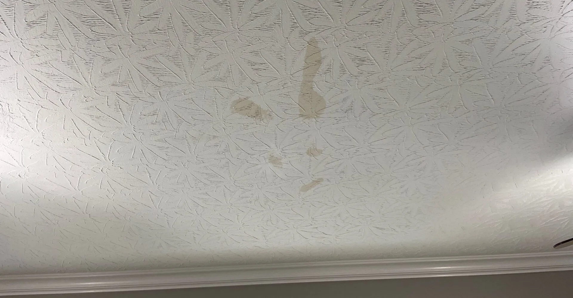 water spots on a ceiling from a leaky roof